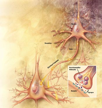 Neuronales Netz