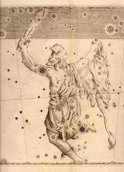 Sternbild Orion